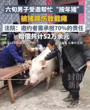 六旬男子杀年猪被踢截瘫
